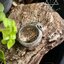 เครื่องประดับชุด งู Set Snake พรีเมี่ยม Sterling Silver 925 NSSV3126