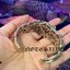 กำไลปลาคาร์ฟคู่ เงินแท้ ละลายทองแท้ 18K Gold 3g NSWB1631