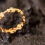 แหวนทองคำแท้ ลายดอกเฟลอร์เดอลีส์รอบวง Fleur-de-lis 18K Gold Ring NSYG1060
