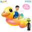Intex Yellow Duck Ride-On 1.47x1.47x0.81 m. no.57556 + Double-Quick III Hand Pump