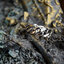 แหวนเงินแท้ ลายเลสเรียบ Sterling Silver 925 NSRG1795