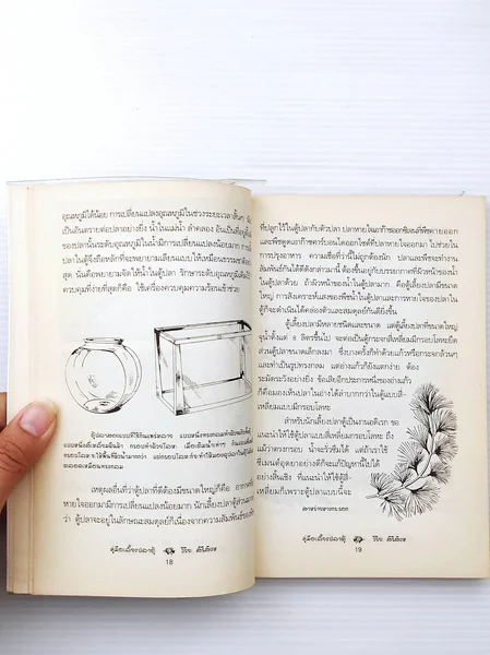 คู่มือเลี้ยงปลาตู้ เล่มนี้ไม่ใช่ image 9 คู่มือเลี้ยงปลาตู้ เล่มนี้ไม่ใช่ image 9