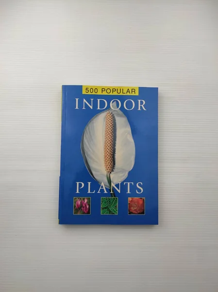 500 POPULAR INDOOR PLANTS
