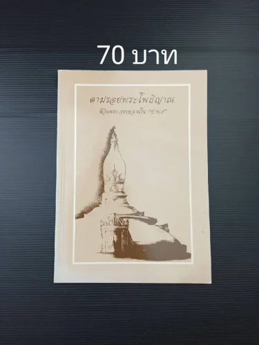 ตามรอยพระโพธิญาณ ชีวิตพระกรรมฐานใน “ป่าพง” ตามรอยพระโพธิญาณ ชีวิตพระกรรมฐานใน “ป่าพง”