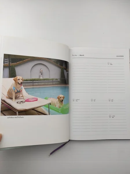 สัตว์เลี้ยงวังสระปทุม image 4 สัตว์เลี้ยงวังสระปทุม image 4