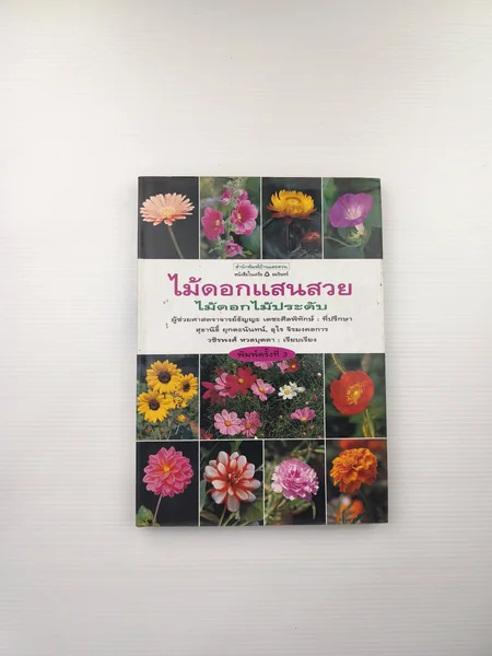 ไม้ดอกแสนสวย ไม้ดอกไม้ประดับ ไม้ดอกแสนสวย ไม้ดอกไม้ประดับ