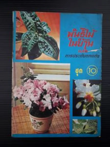 พันธ์ไม้ในบ้านและการประดับตกแต่ง พันธ์ไม้ในบ้านและการประดับตกแต่ง