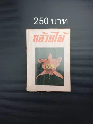 กล้วยไม้ กล้วยไม้