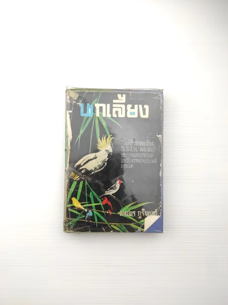 นกเลี้ยง แนะนำอย่าง นกเลี้ยง แนะนำอย่าง