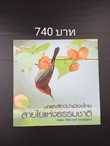 นกและสัตว์ป่าเมืองไทย สายใยแห่งธรรมชาติ นกและสัตว์ป่าเมืองไทย สายใยแห่งธรรมชาติ