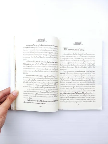 เทพอสูร บันดาลทรัพย์ image 2 เทพอสูร บันดาลทรัพย์ image 2