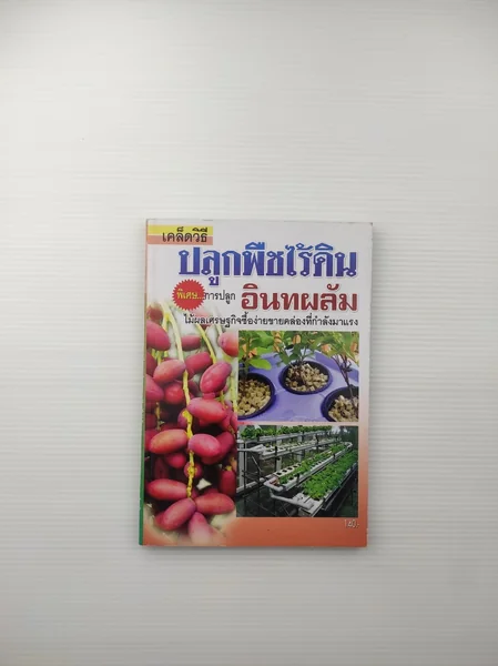 เคล็ดวิธีปลูกพืชไร้ดิน เคล็ดวิธีปลูกพืชไร้ดิน