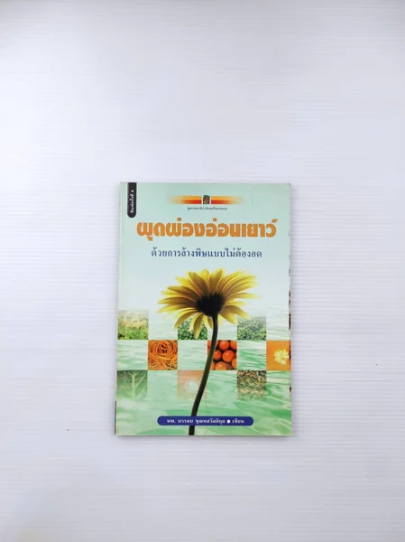 ผุดผ่องอ่อนเยาว์ ด้วยการล้างพิษแบบไม่ต้องอด ผุดผ่องอ่อนเยาว์ ด้วยการล้างพิษแบบไม่ต้องอด