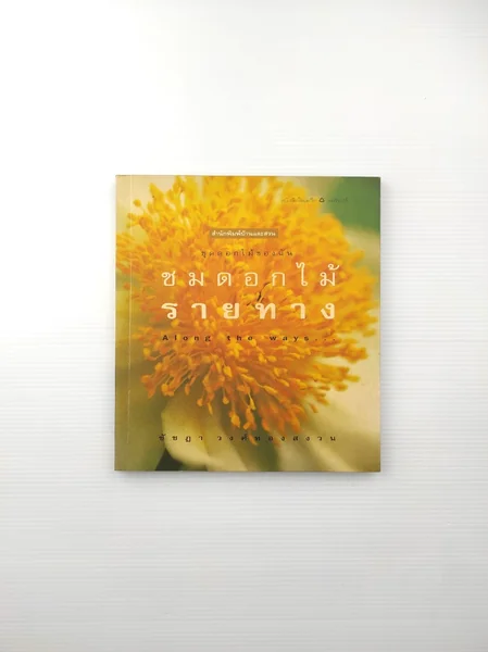 ชมดอกไม้รายทาง คนชอบเที่ยว ชมดอกไม้รายทาง คนชอบเที่ยว