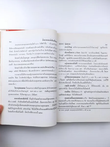 หนังสือ เรื่องสิ่งแรกและสิ่งใหม่ image 2 หนังสือ เรื่องสิ่งแรกและสิ่งใหม่ image 2