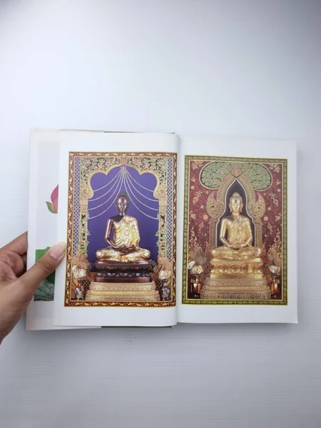 รู้ไว้ใช่ว่า 1- 4 พร้อมกล่อง บันทึกเปิดเรื่องชีวิต image 3 รู้ไว้ใช่ว่า 1- 4 พร้อมกล่อง บันทึกเปิดเรื่องชีวิต image 3