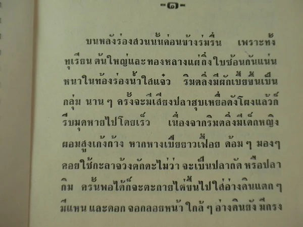 มงกุฎหนาม image 2 มงกุฎหนาม image 2